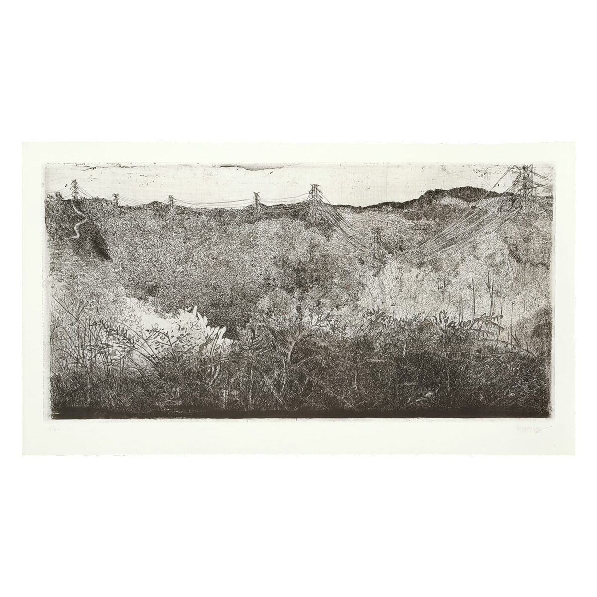 Gravura em metal | Zizi Baptista