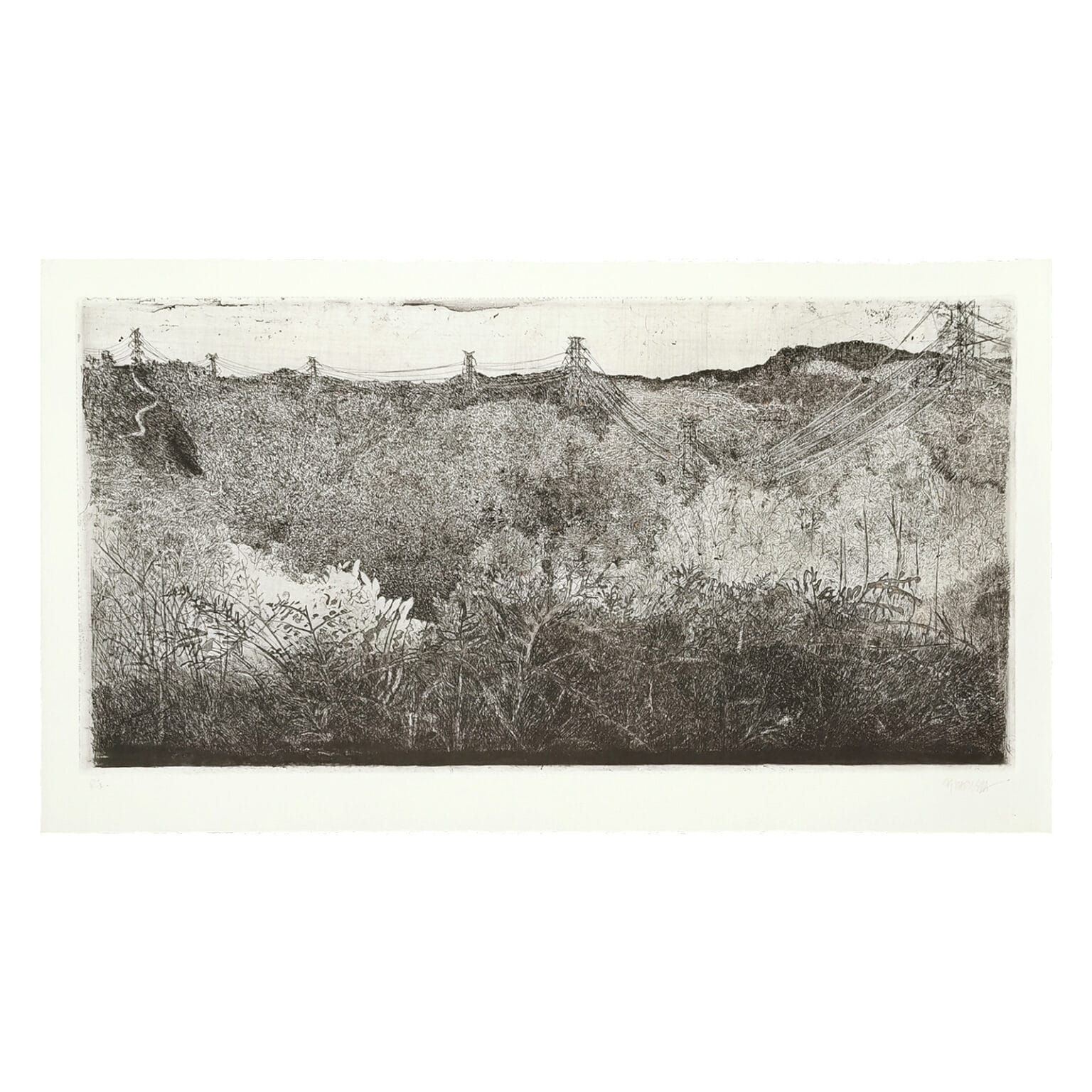 Gravura em metal | Zizi Baptista