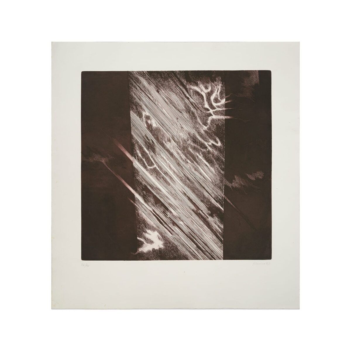 Gravura em metal da artista Renina Katz