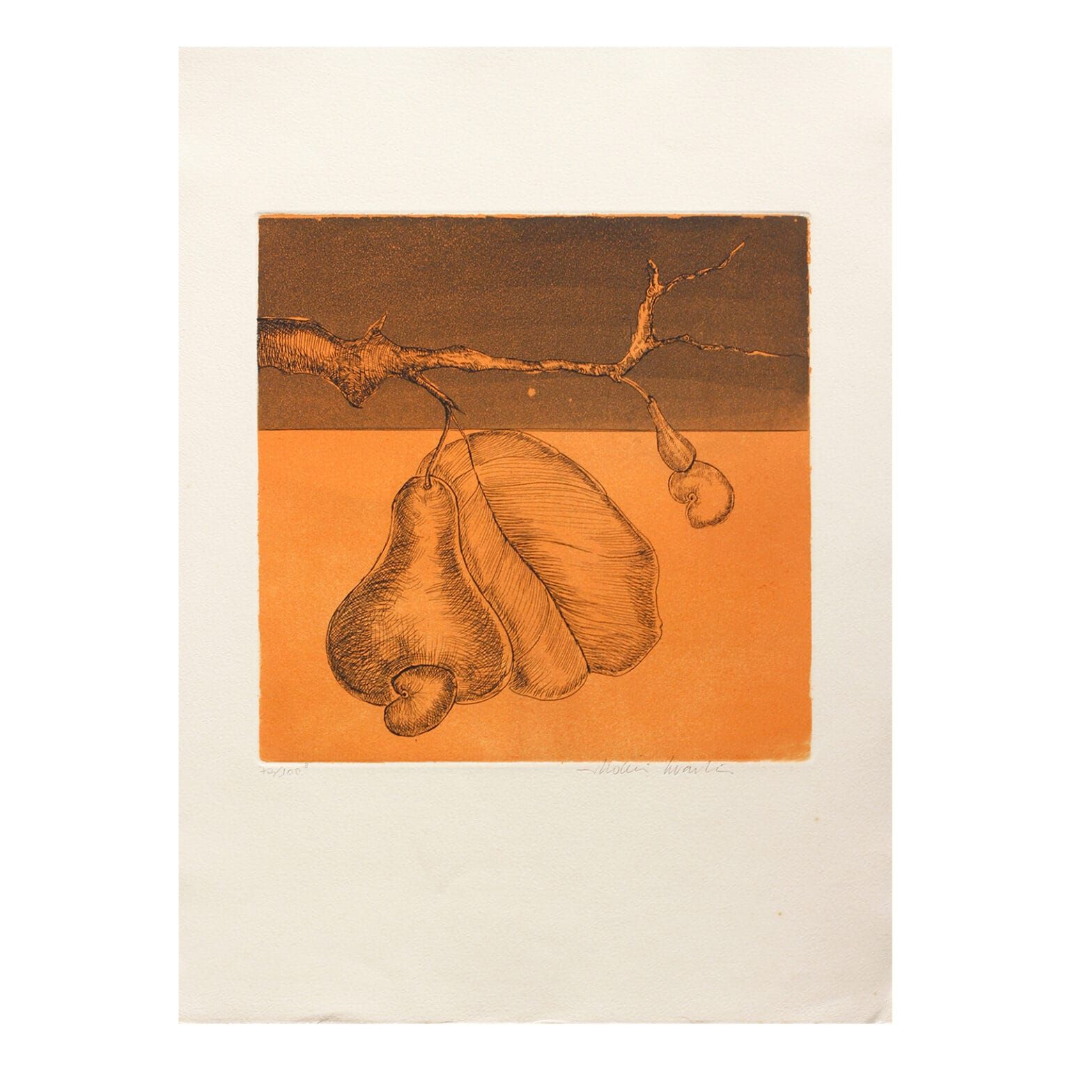 Gravura em metal Aldemir Martins