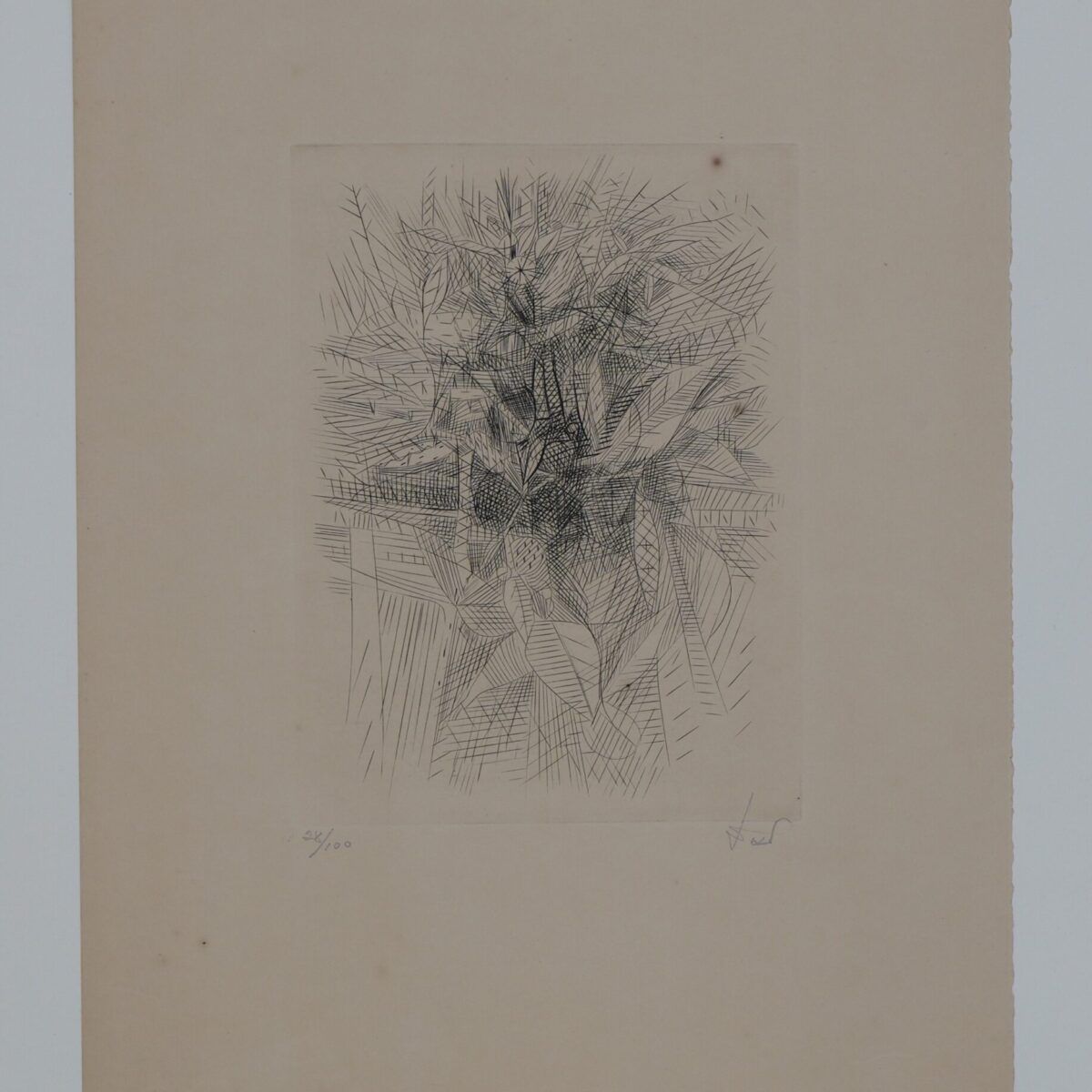 Gravura em metal | Darel Valença Lins