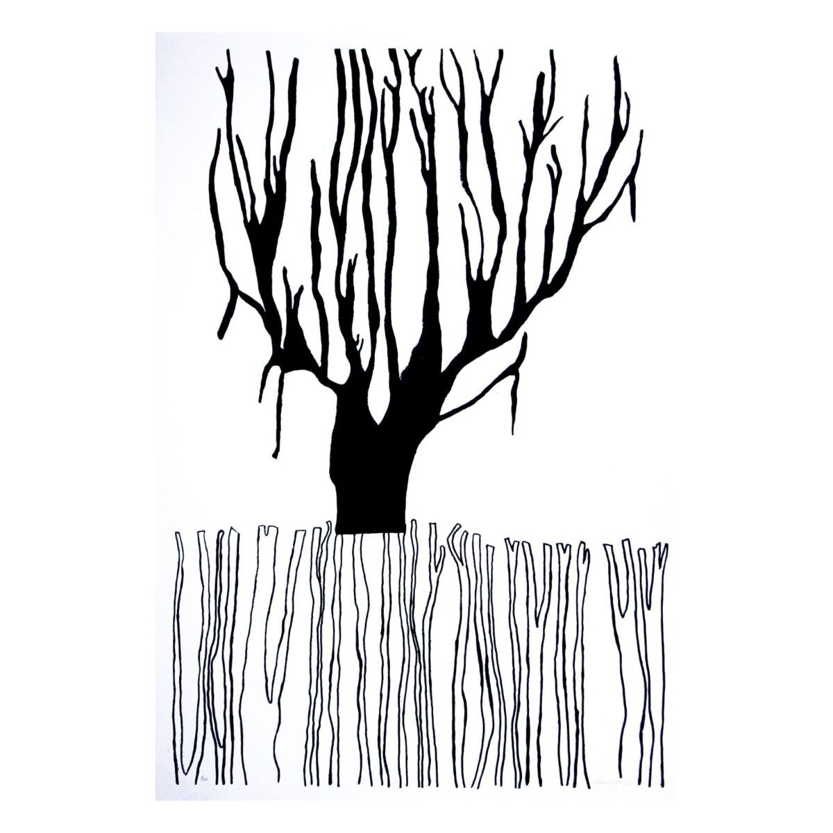 Serigrafia | Helena Lopes