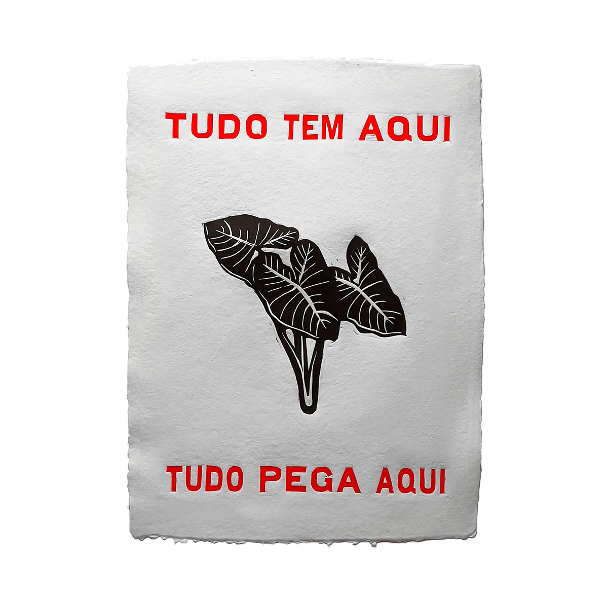 Obra de Thiago Modesto