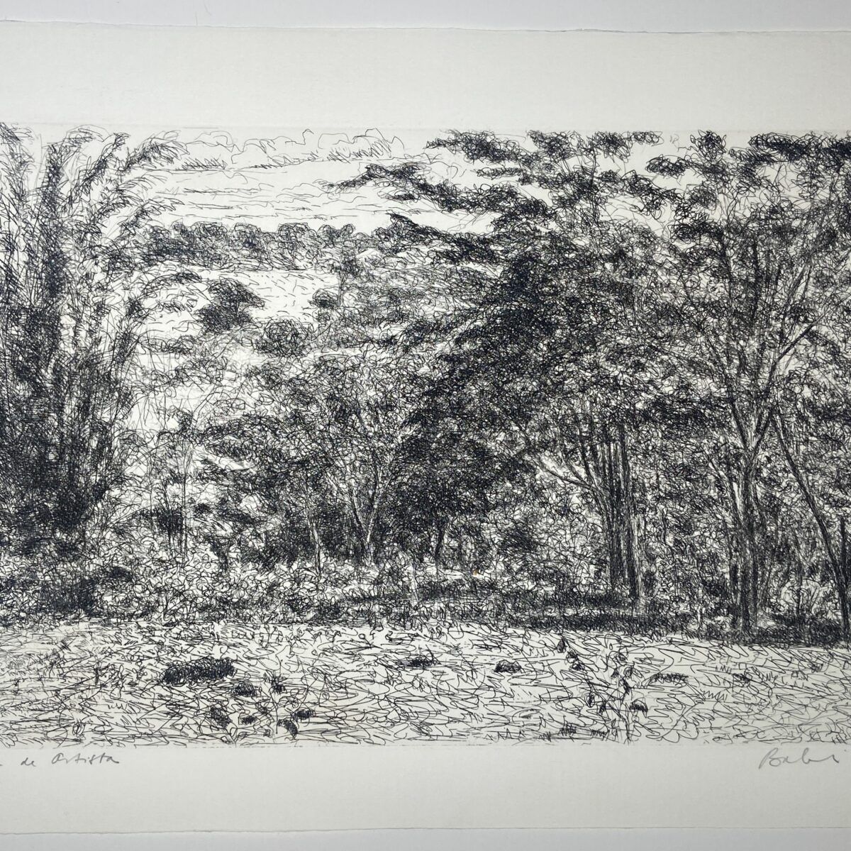 Gravura em metal 'paisagem' | Maciej Babinski