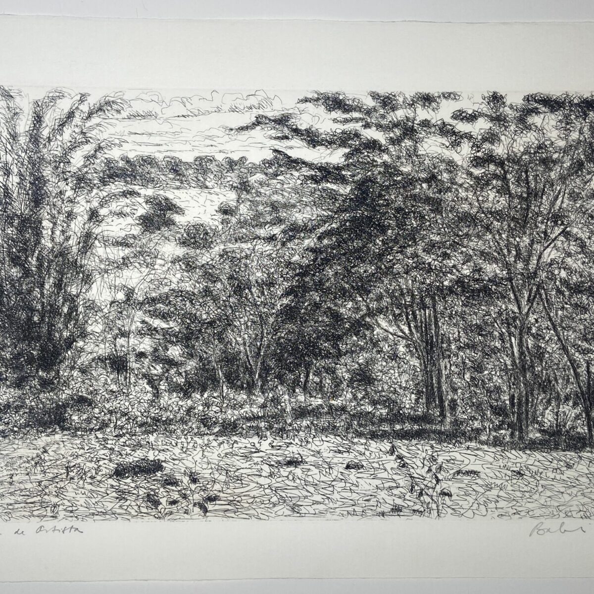 Gravura em metal 'paisagem' | Maciej Babinski