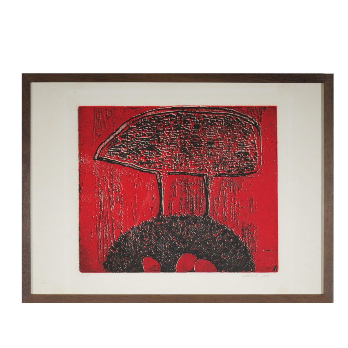 Gravura pássaro vermelho de Isabel Pons