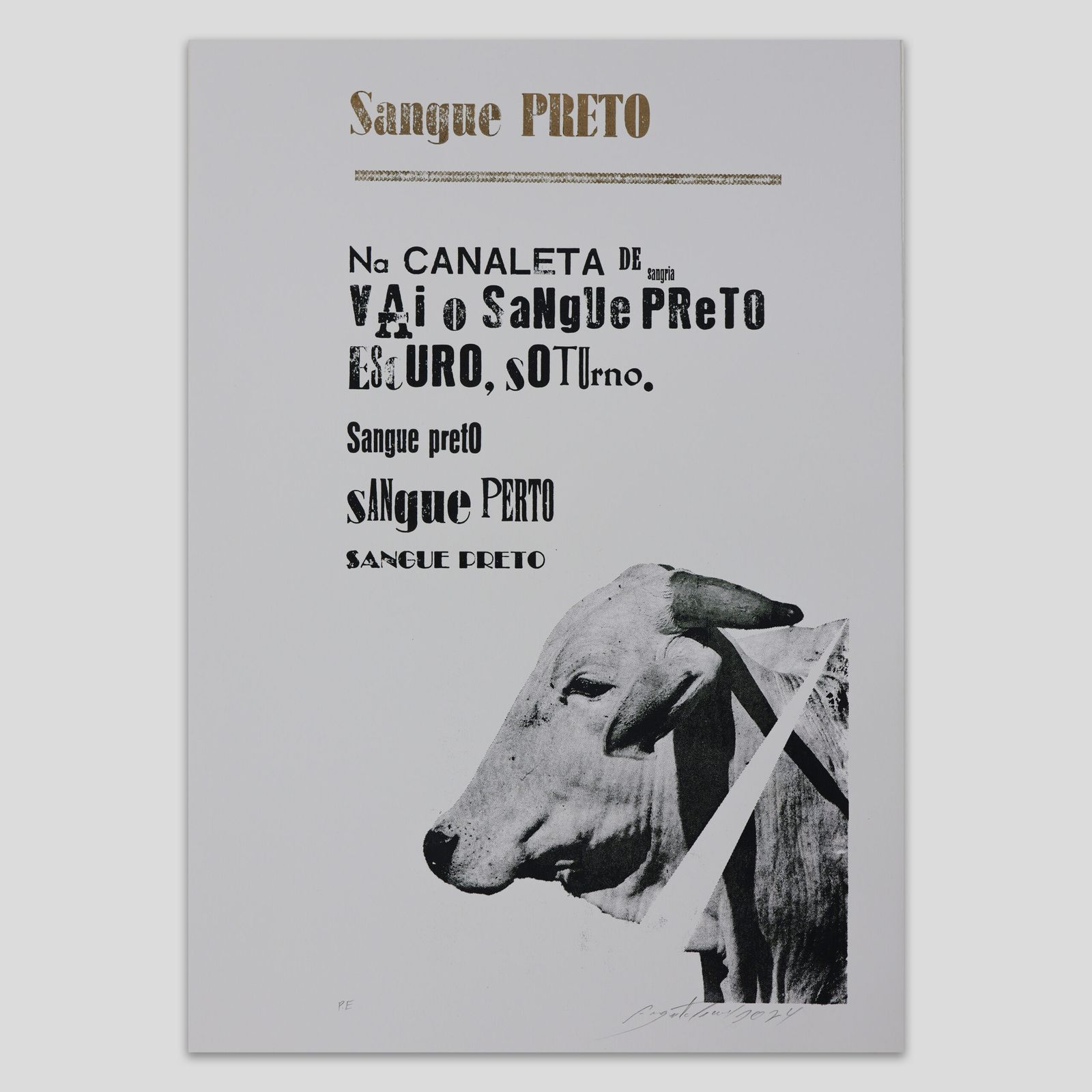 Serigrafia e tipografia manual | Augusto Cesar