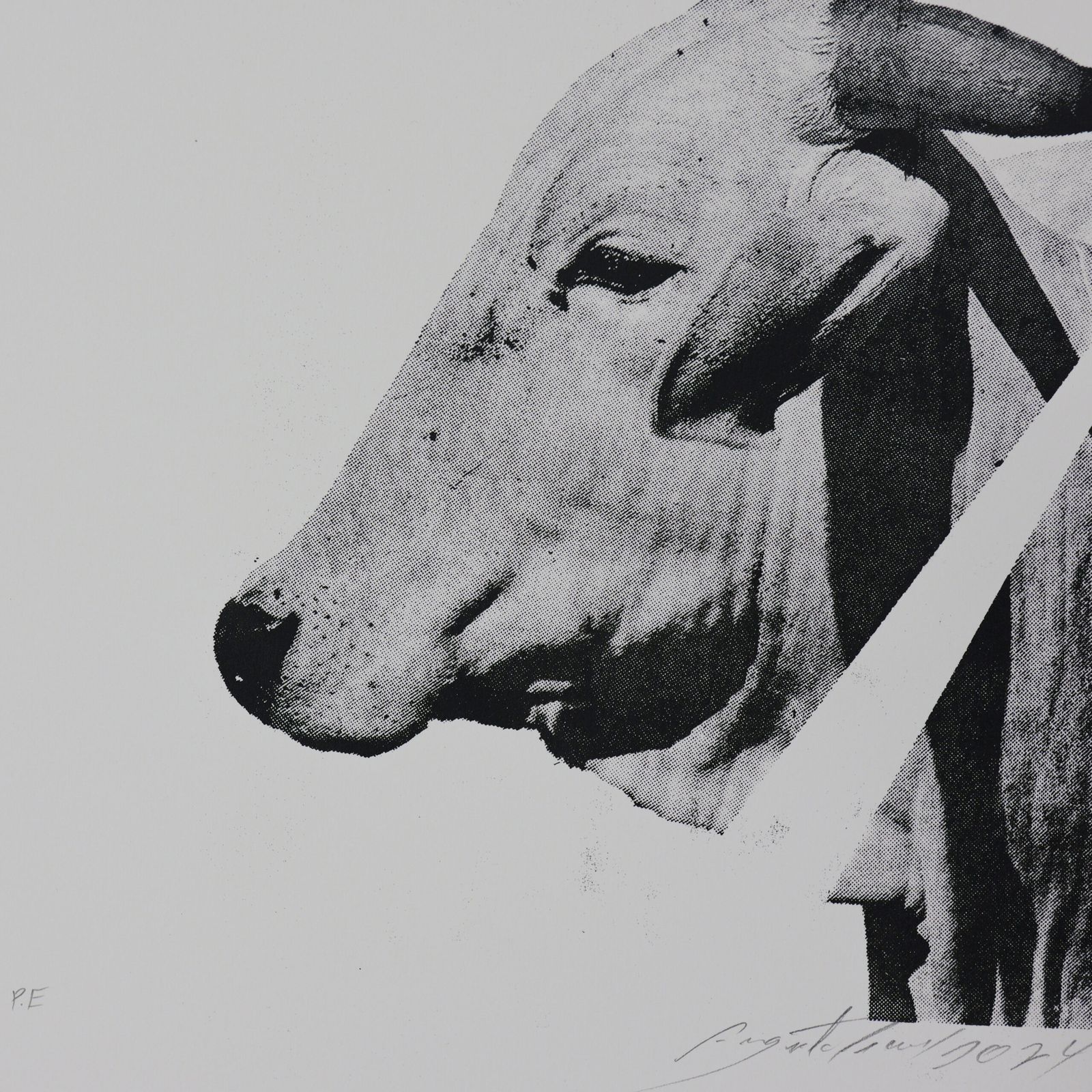 Serigrafia e tipografia manual | Augusto Cesar - Imagem 3